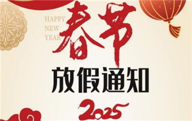 Dinghua Technology 2025 Spring Festival Holiday Notice